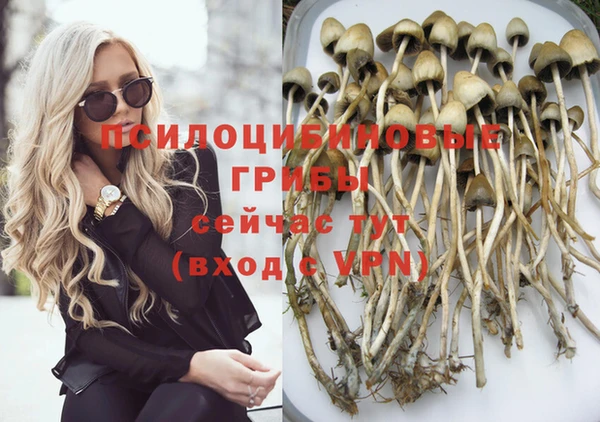 гидропоника Балахна